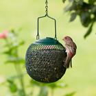 Green Seed Ball Wild Bird Feeder Peanut And Seed Set For Outside Garden New