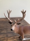 Schleich 14248 Stag Retired Deer With Tag