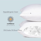 Euro Pillow Inserts 26 X 26  pack Of 2  White   Down Feather Pillow Stuffer  Pre