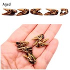 Barracuda Skull Replica- 1 12 Scale Fish Diorama  Dollhouse Miniature Oddities