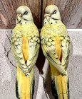 Vtg Pair Yellow Parakeet Budgie Clipon Bird Ornament Bisque Porcelain Japan Read