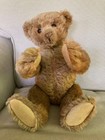 Steiff 1903-05 Antique Teddy Bear Original Pads  Very Good Condition