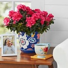 The Pioneer Woman Magic Meadows 8-inch Round Ceramic Planter  Blue