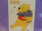 C-25 Janlynn Counted Disney Mini Cross-stitch Kit    winnie The Pooh   
