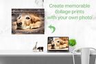 Personalized Pet Memorial Gift With Photo Of Your Dog Custom Metal Print 