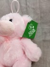 First   Main Pink Bear Pink Bow 6  Plush Stuffed New With Tags Nwt Pp
