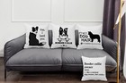 Border Collie Themed 18     18   set Of 4 It s Not Dog Hair It s Border Collie Gli   