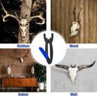 6 Pcs European Mount Skull Hanger European Style Antler Deer Skull Wall Mount Br