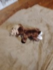 Ganz Moose Webkinz 9 5in Plush Pet New Hm137