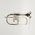 Yamaha Model Yfh-8310ziis  custom Z  Professional Flugelhorn Sn 470388a Superb