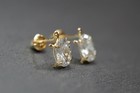 14k Solid Yellow Gold Small Turtle Screw Back Cz Earrings  Women Children Baby