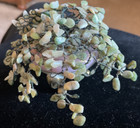 Vintage Stone   Bonsai Tree In Small Decorative Pot