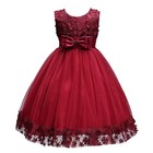 Elegant Lace Tulle Flower Girl Dress For Wedding  Baptism   Pageant Party