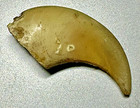 Vintage Natural Bear Claw  E-4