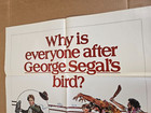 The Black Bird Movie Theater Poster George Segal Stephane Audran