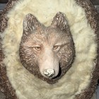 Vintage 18    Wolf Head Plaster Sculpture Surrounded W animal Hide Signed  Rare