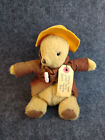 Paddington Bear Plush 1975 Eden Toys Brown Coat Teddy Stuffed Animal Vintage 8in