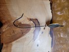 Early 1900s Celluloid Wall Hook Pacific Outfitting Co    1 00 A Week Very Nice