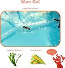 Ant Farm Science Kit Habitat For Kids With Blue Gel 4 Inch Interactive Observ   