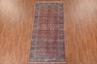 Semi-antique Geometric Turkoman 9 Ft  Runner Rug Hand-knotted Wool 4x9