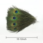 Peacock Feather Decor 12 Pcs Natural 10-12 Inch Vase Craft Party Supplies