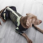 Halloween Costume For Pet Dogs  Halloween Skeleton Dog Costume Dog Jumpsuits