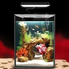 Glass Betta Aquarium Starter Kit W  Led Light Power Filter Small Fish Tank Black