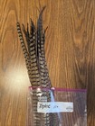Authentic Wild Pheasant Tail Feathers  10 Pieces  20   Inches 