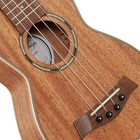21  Soprano Solid Mahogany Ukulele - Hawaiian Uke Guitar  Padded Gig Bag  Strap
