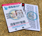 Esa Id Card For Emotional Support Dog   Cat Animal   Service Dog - Holographic