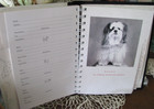 Address Book For Dog People Spiral Hardcover