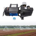 1 Inch Inlet outlet Farm Well Pump Irrigation Water Pump W pressure Switch 3 8m  