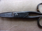 Antique Small Scissors Solingen Germany F W Engels