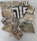 12 Ancient Anasazi Native American Pottery Shards 2    - 4    Arizona L6-d Free Ship