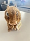 Webkinz Signature Chipmunk Wkss2009 W  Sealed Unused Code Ganz Plush Retired