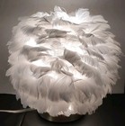 Small White Feather Lamp Shade Accent Table Night Light Corded Brass Color Base