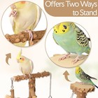 Brslaif Natural Wood Bird Perch Stand Multi-layer Parrot Playground Gym Feeding
