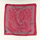 Vintage Men s Silk Pocket Square Red Paisley Made In Italy 13  X 13  Scarf
