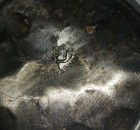 Everlast Hand Forged Vtg Set Of 6 Drink Coasters Metal Aluminum Floral Dogwood