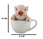 Ebros Adorable Babe Teacup Pig Figurine 5 25  Tall Realistic Animal Collectible