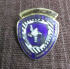 Michelin Tire Lapel Pin     Temperance Mi Regional Distribution Center     Employee