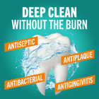 Therabreath Deep Clean Mouthwash  Alcohol Free  Fresh Mint  16 Fl Oz
