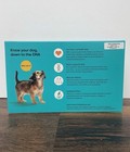 New Embark Breed   Health Kit Dog Dna Test Discover Breed  Ancestry