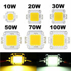 High Power Led Chip Cob Smd 10w 20w 30w 50w 70w 100w Bulb Diy Lamp Light 12v-36v