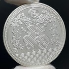 Chinese Zodiac Horse Silver Coin Win Instant Success Lucky Coin 2026 Souvenir