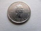 1999 1 20 Oz Platinum  9995 Canadian Polar Bear  1 Coin - Damaged On Rim