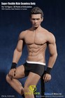 1 6 Phicen Super Flexible Male Seamless Body Steel Skeleton Pl2016-m33 Tbleague