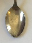 Blackwater Falls West Virginia Vintage Souvenir Spoon Collectible