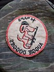 Vietnam War Auggie Doggies 14th Aps Air Patrol Squadron Usaf Us Patch 