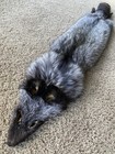 Ranch Silver Fox Pelt Fur Tanned Rustic Log Cabin Decor Cozy Parka Trim Ruff Hat